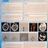 Poster Sessions