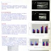 Second Congress of the BSNCH » Posters